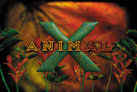 discovery-animalx3